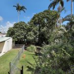 34 Boulton Street, SOUTH MACKAY, QLD 4740 AUS